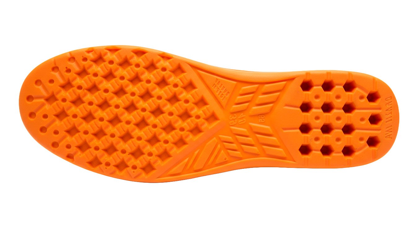 Palmflex Trekday